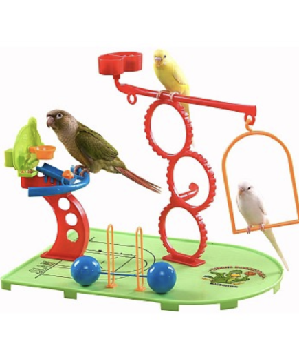 Birdie Basketball Gym - Activity Centre for Smaller Parrots